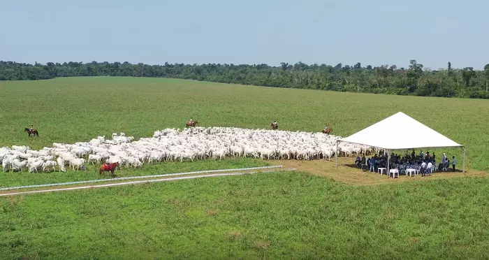 6º DIA DE CAMPO SOBRE INTEGRAÇÃO LAVOURA E PECUÁRIA- JP AGROPECUÁRIA